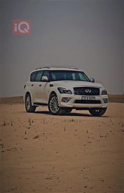 ئينفنتي QX80